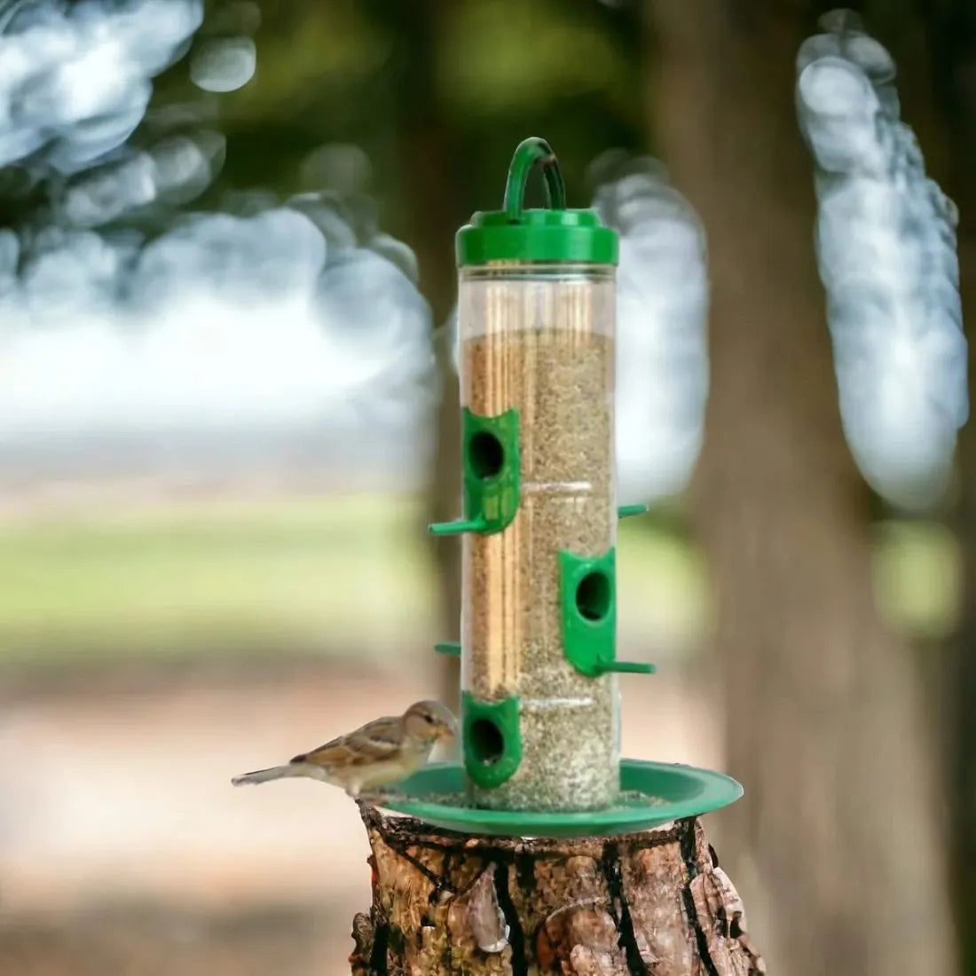 The Beautiful Bird feeder