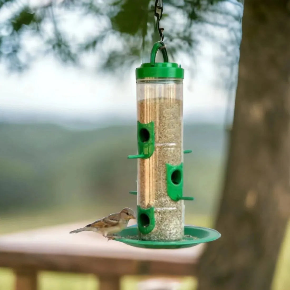 The Beautiful Bird feeder