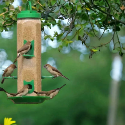 The Beautiful Bird feeder